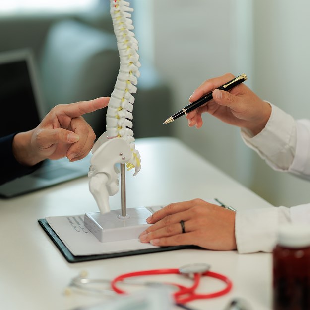A doctor and patient discussing a human spine model in Pottstown and East Norriton