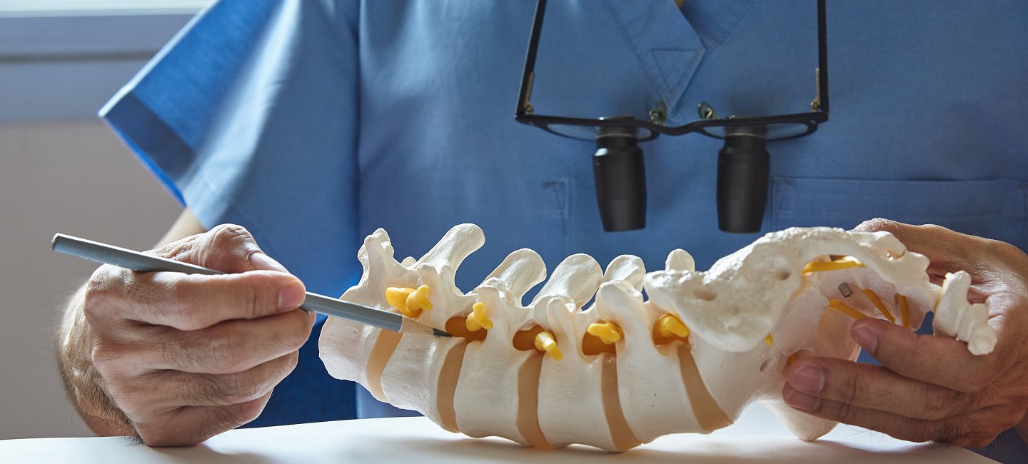 Doctor pointing at a spine model to explain spinal structure